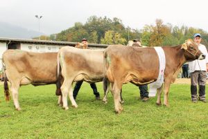 141011Nidwalden 035